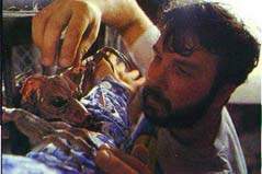 Peter Jackson dirige 
al mono rata de Sumatra