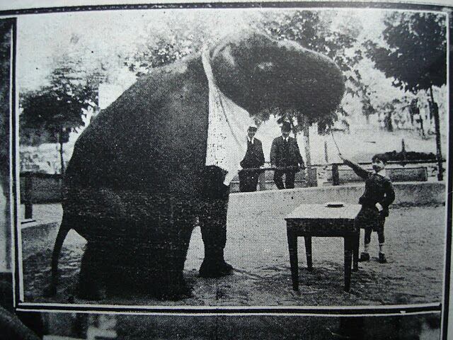 Narcisín y un elefante del Zoológico de Montevideo, enero de 1920