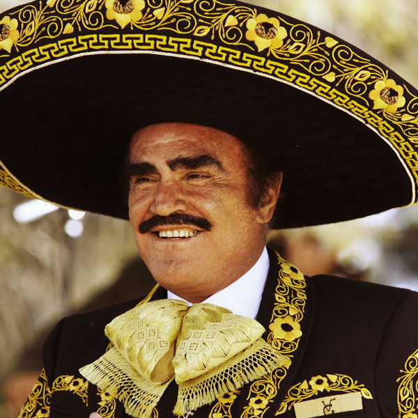 Vicente Fernández Vicente Fernández