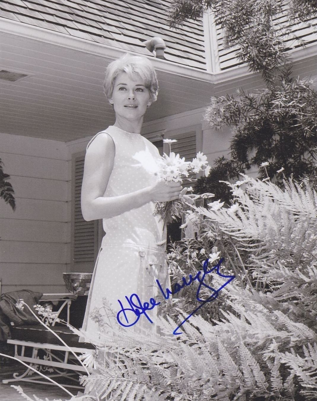 Hope Lange Hope Lange