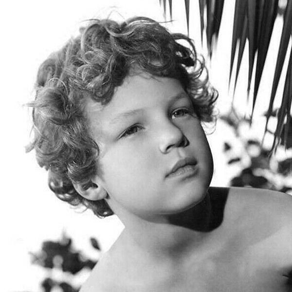 Johnny Sheffield Johnny Sheffield