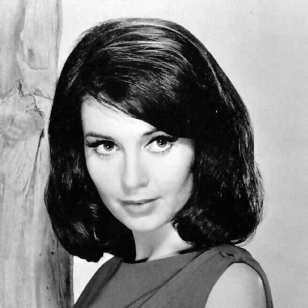 Anjanette Comer Anjanette Comer
