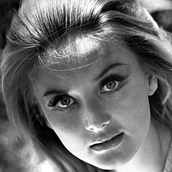Barbara Bouchet Barbara Bouchet
