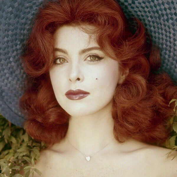Tina Louise | Cinefania Online