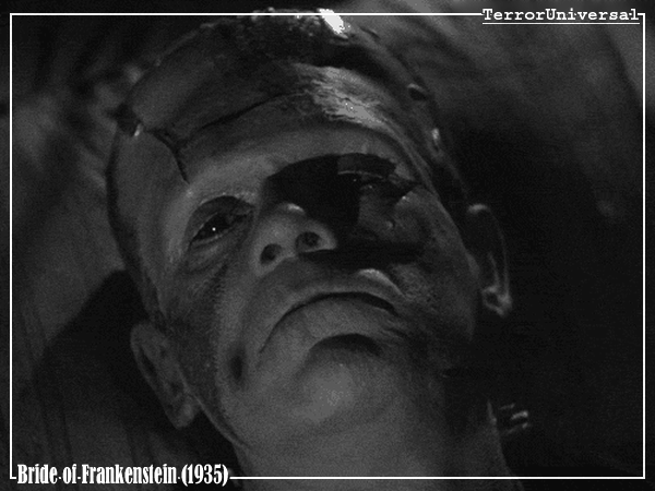 Bride of Frankenstein (1935), Boris Karloff