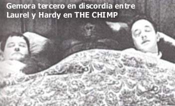 THE CHIMP