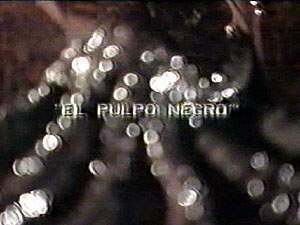 EL PULPO NEGRO