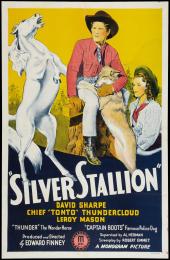 SILVER STALLION