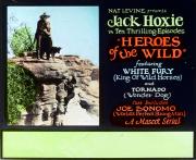 HEROES OF THE WILD