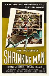 INCREDIBLE SHRINKING MAN, THE