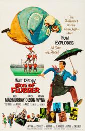 SON OF FLUBBER