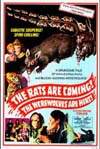 RATS ARE COMING! THE WEREWOLVES ARE HERE!