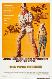 TRAIN ROBBERS, THE